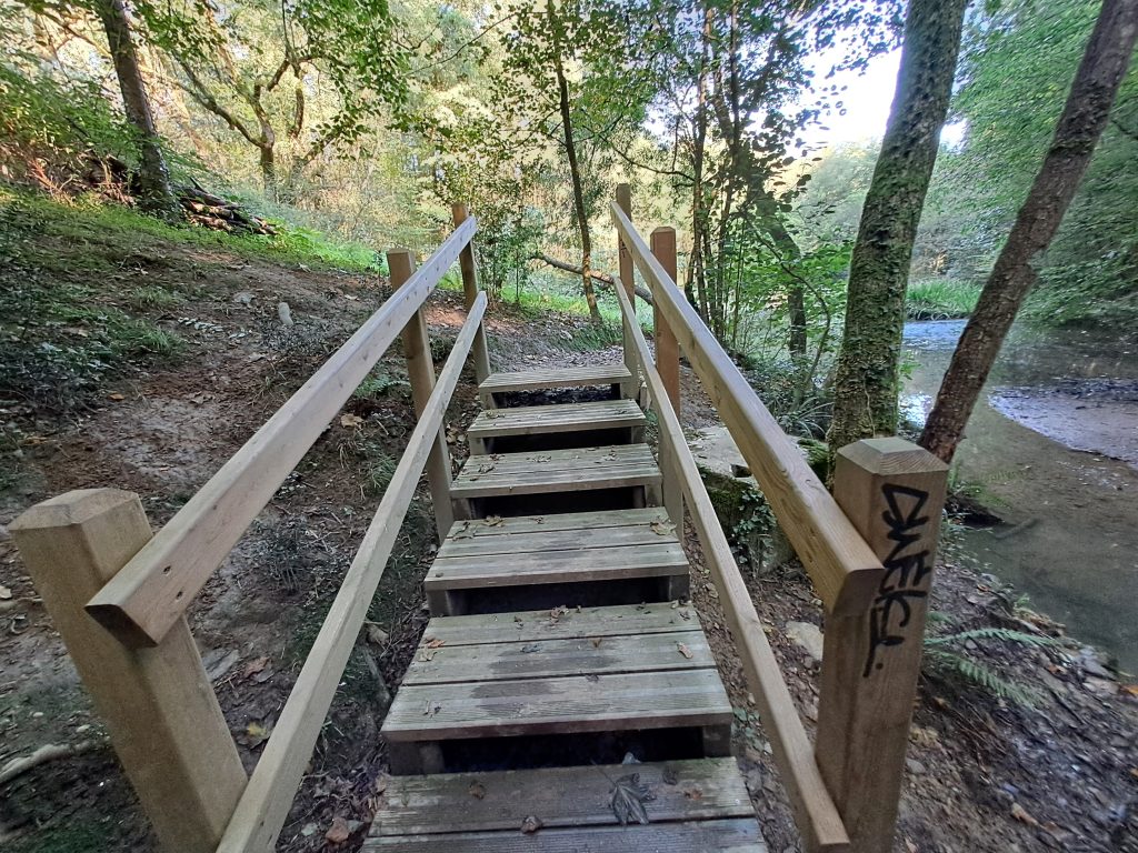 La caída del pino. El sosiego del Bosque Aguas arriba del  estanque, encontraremos el identificado, y señalado, antiguo lavadero, testigo de la vida en la zona. El lavadero otorga al paisaje un aire de nostalgia y tradición